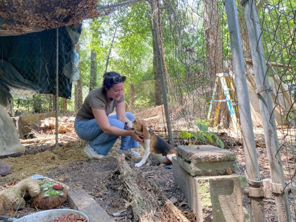 Mouth being visited by a fieldworker