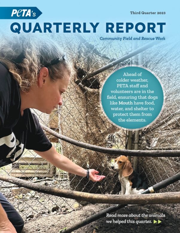 Quarterly Report Third Quarter 2023 Cover