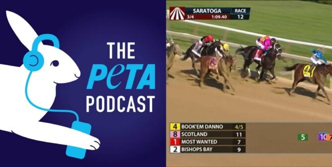 paco lopez suspension, the peta podcast