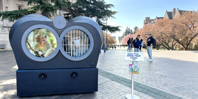 petas giant binocular exhibit