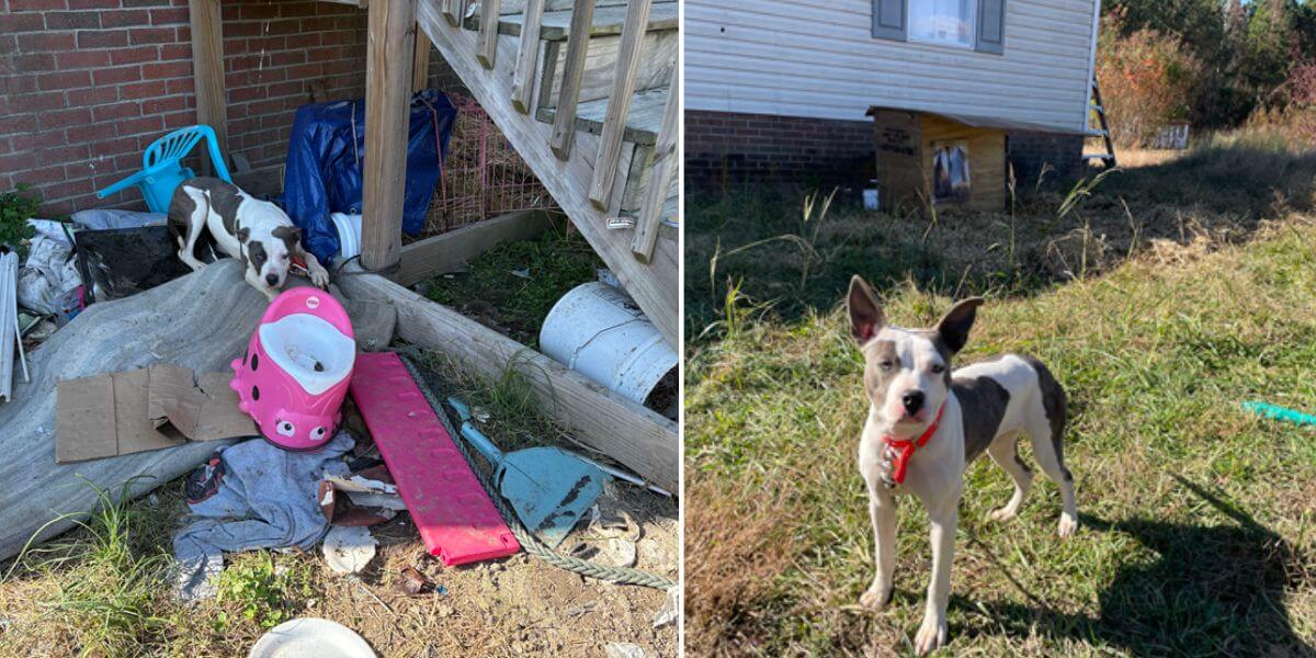 Before and after photos of Chanel