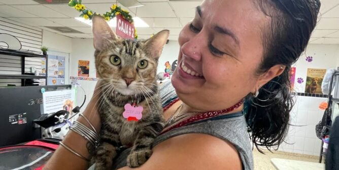 Client holding a tabby cat