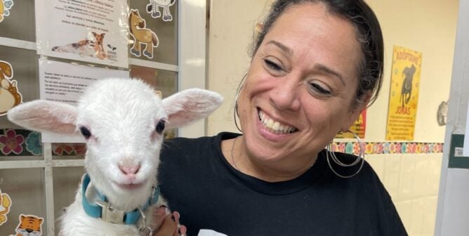 PETA Volunteer holding baby goat
