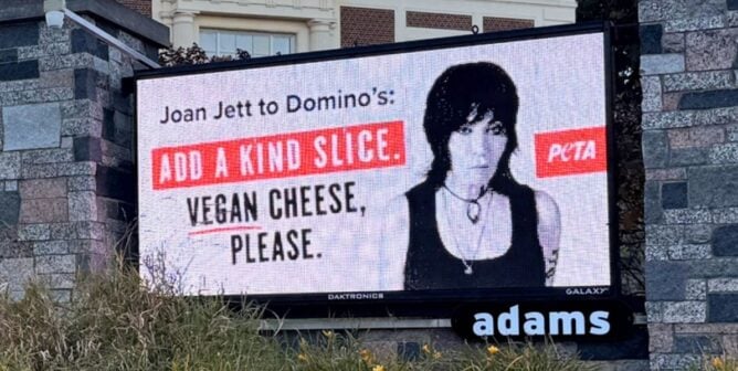 Joan Jett billboard