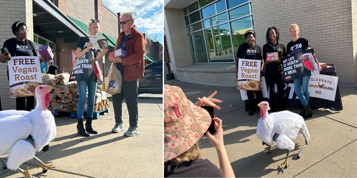 People posing with robotic Turkey Travis