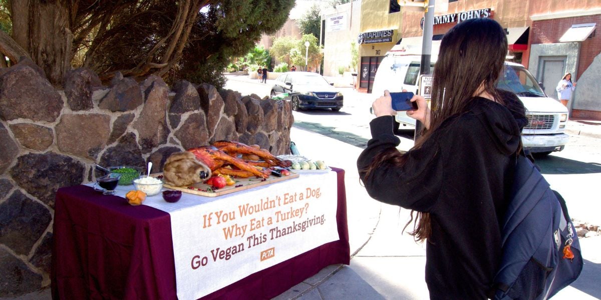 A person taking a photo of the demo. The banner reads "If you wouldn't eat a dog, why eat a turkey? Go vegan this thanksgiving."