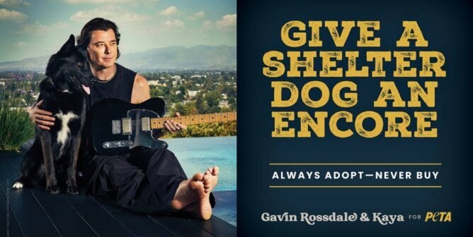 Gavin Rossdale and Kaya Ad