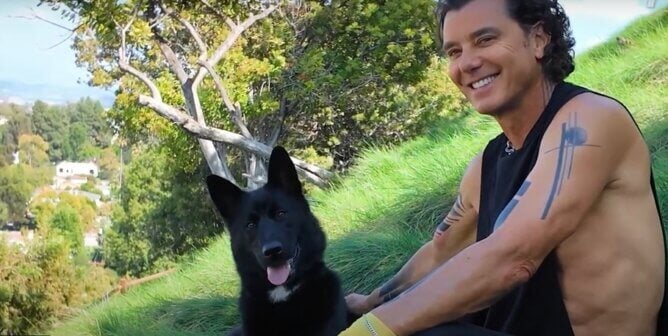 Gavin Rossdale with his adopted dog
