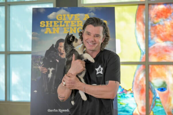 Gavin Rossdale at PETA adoption event