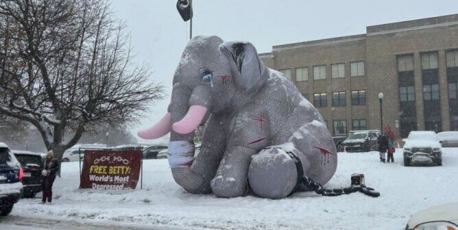 Inflatable elephant
