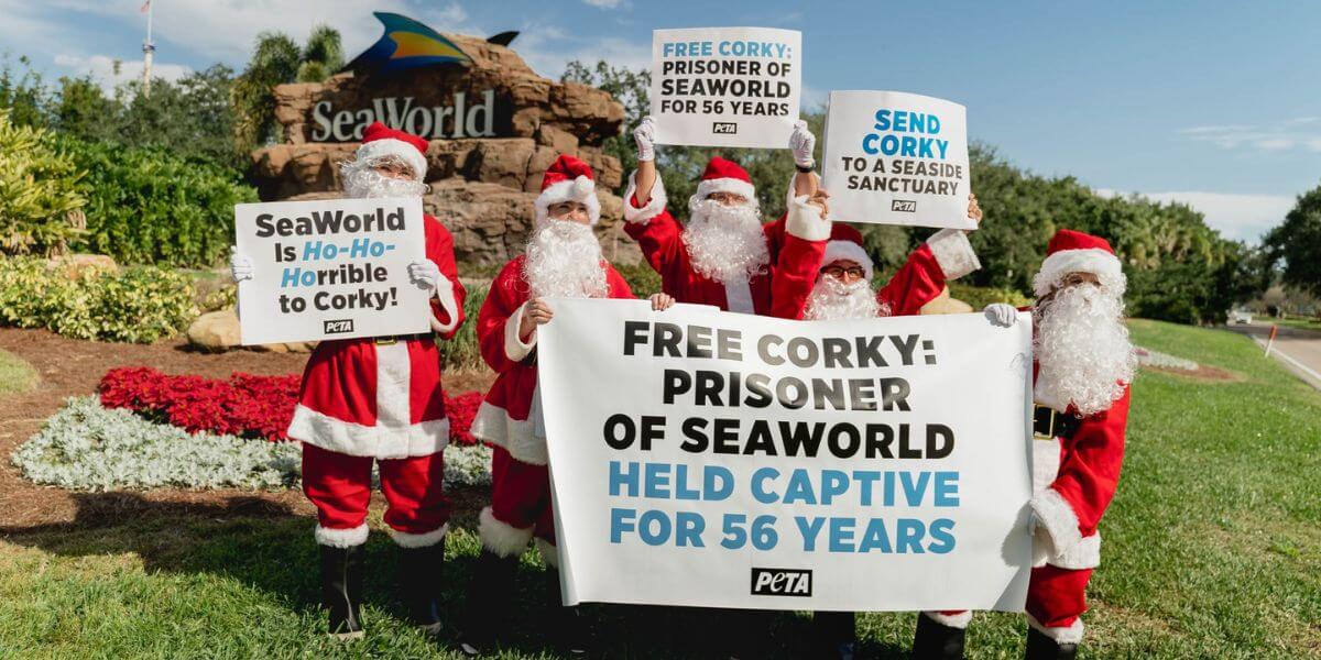 A group of Santas holding signs in front of SeaWorld Orlando's main sign