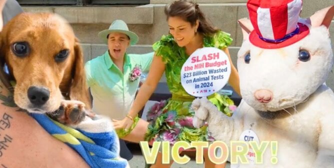 Victory featured image for 2025