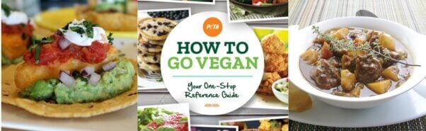 How to Go Vegan Guide banner