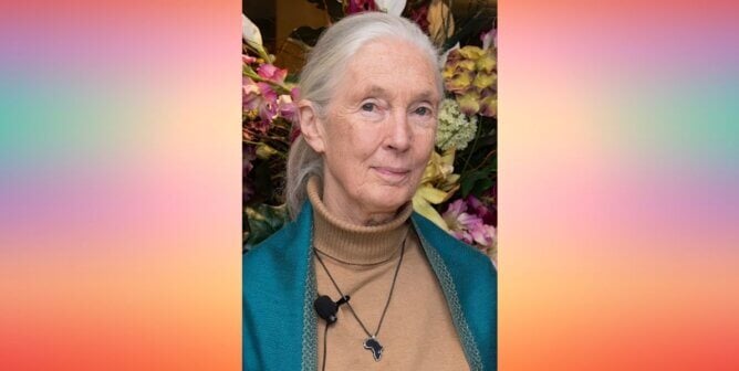 Jane Goodall Photo over a colorful gradient