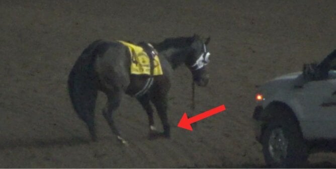 Quarter Horse Stanley Cartel with broken leg during race at Los Alamitos