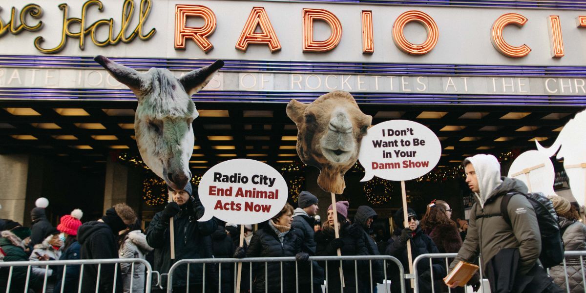 Protestors in front of Radio City Music Hall