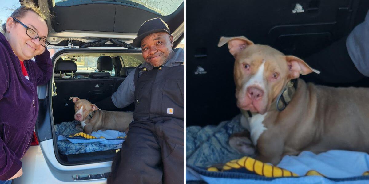 Two guardians standing over their dog