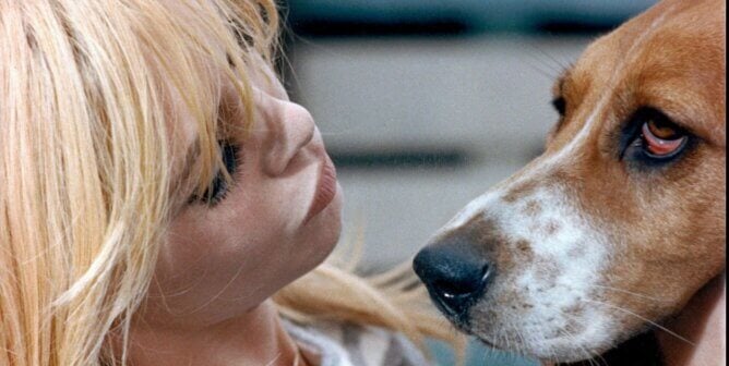 Brigitte Bardot with bassett hound
