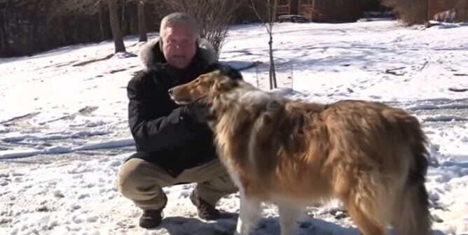 Doug-Doug, a dog rescued from an icy pond
