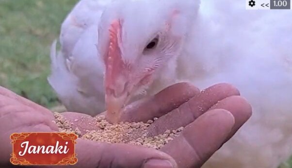 Janaki from holiday rescue video