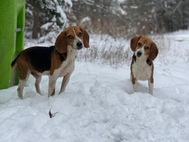 Mouth and Little Girl