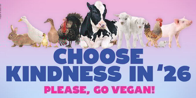 Choose Kindness in '26! Please, go vegan!