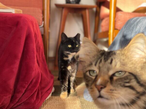 Rakia stepping to the viewer with Ezekiel looming in the foreground