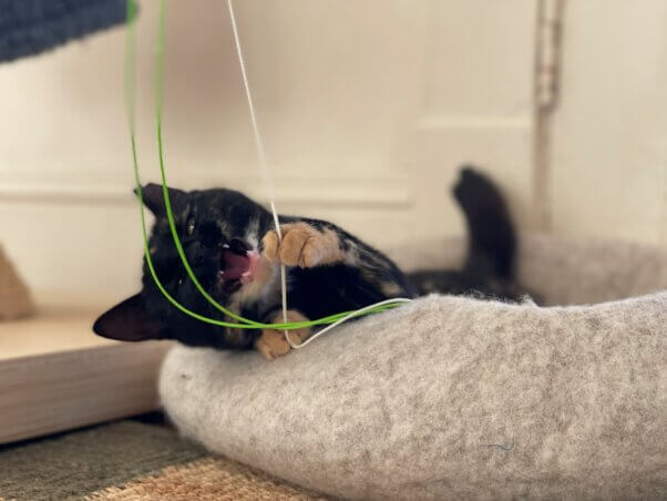 Rakia playing with a string toy