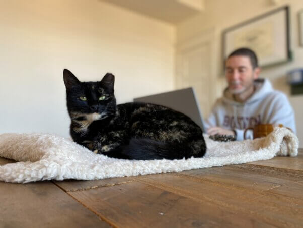 Rakia at rest with Dan in the background