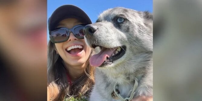 Aku and his guardian