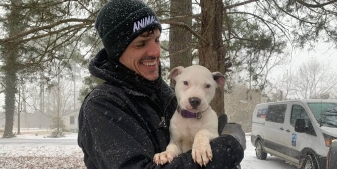Fieldworker with puppy