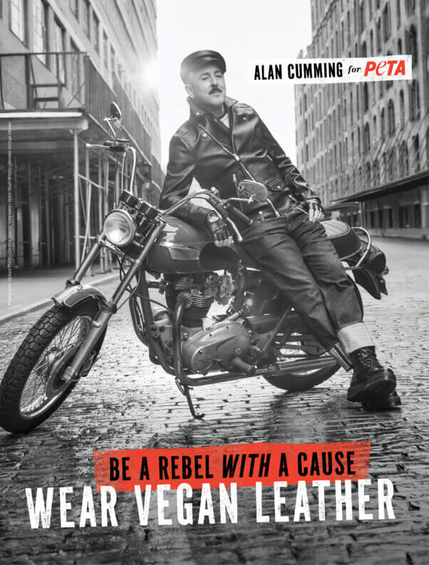 Alan Cumming in PETA "Rebel With a Cause" ad