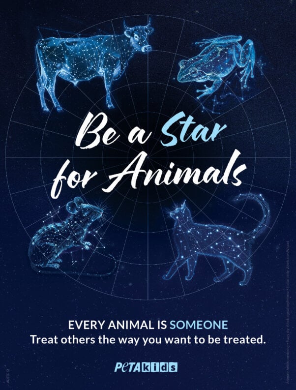 Be a star for animals