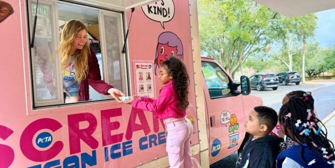 i Scream truck serving child