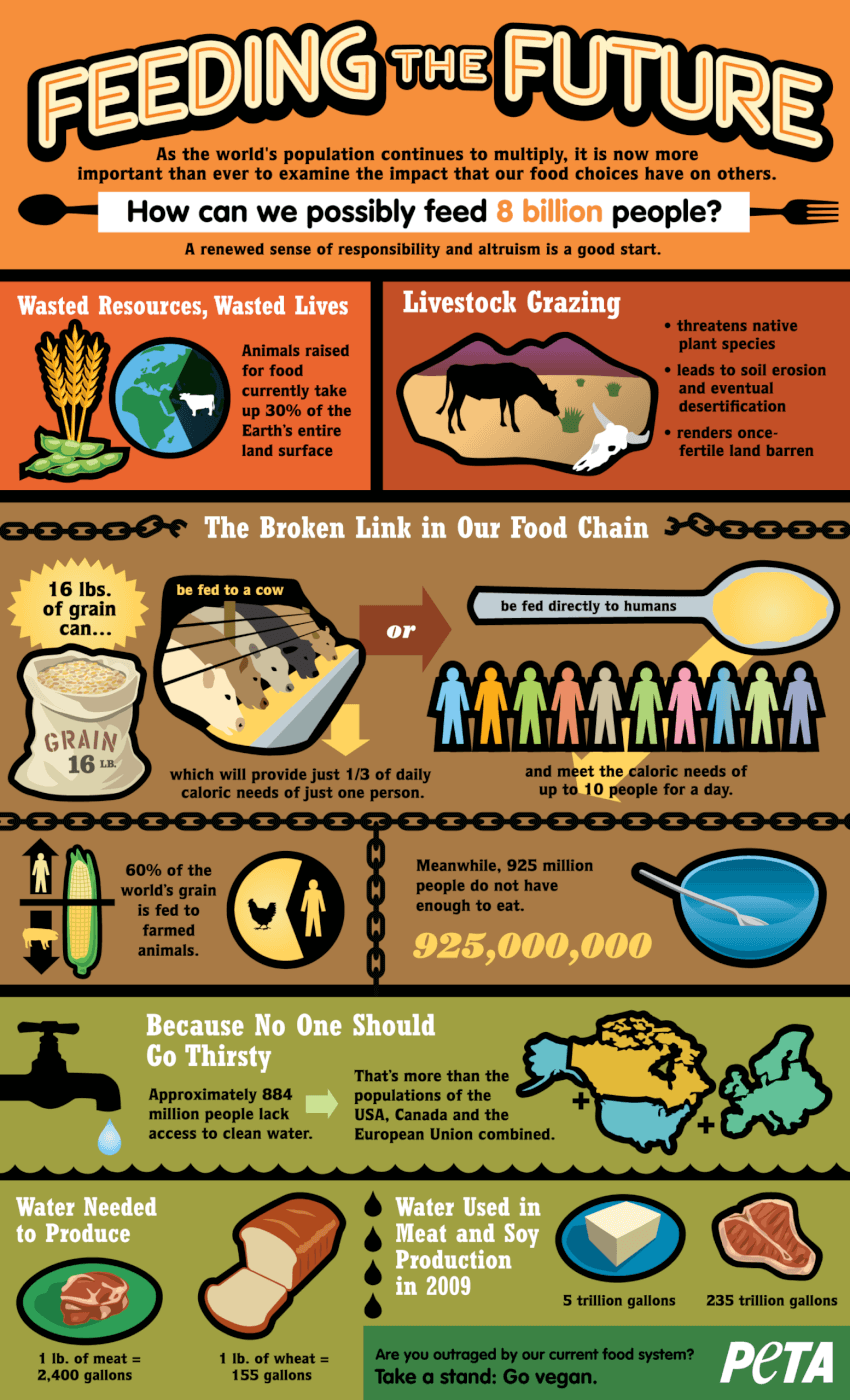 Feeding the future infographic