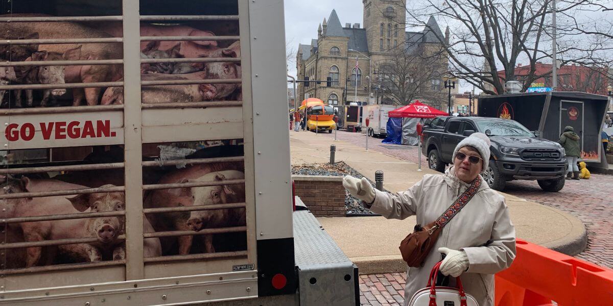 Passerby pointing at pig truck