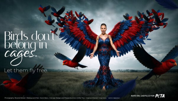 Kate del Castillo ad for PETA reading "Birds Don't Belong in Cages. Let Them Fly Free.