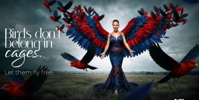 Kate del Castillo ad for PETA reading "Birds Don't Belong in Cages. Let Them Fly Free.