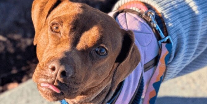 Liora looking at the camera