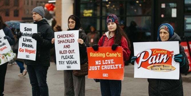 Demonstrators in front of Raising Cane's
