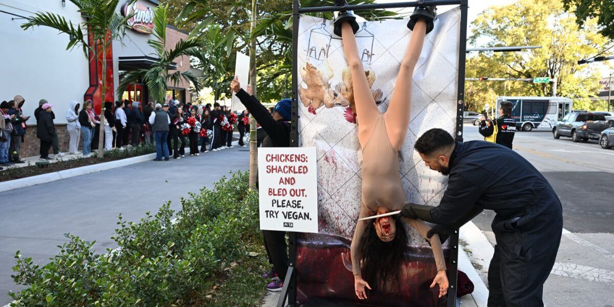 A person being slung upside down with their throat 'slit'