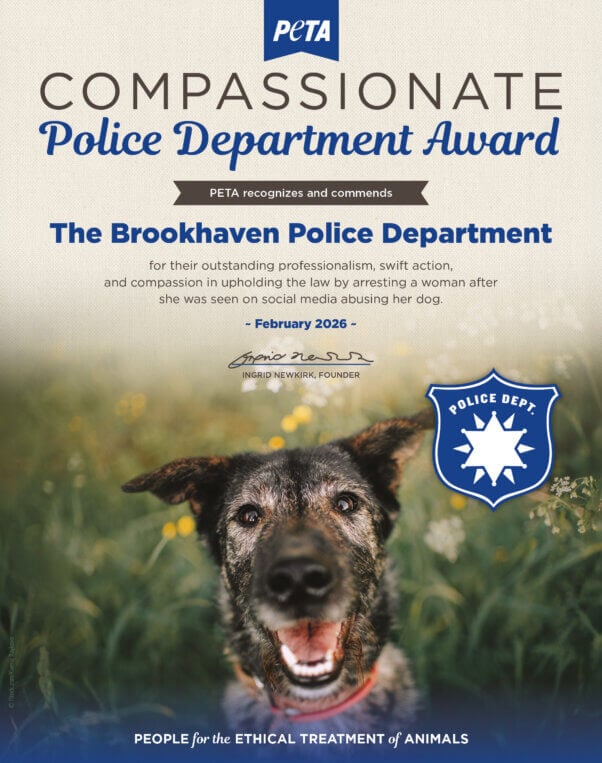 Compassionate Police Dept. Award for Brookhaven