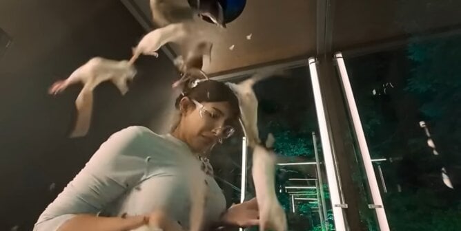 rats falling from ceiling onto Fear Factor contestant