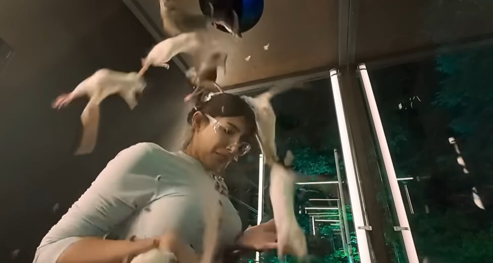 PETA Calls for Investigation Into ‘Fear Factor: House of Fear’ Over Apparent Animal Cruelty