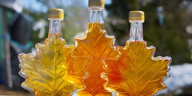 Three bottles of maple syrup