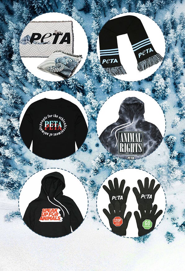 Winter themed hanner showcasing various products for sale in the PETA Shop