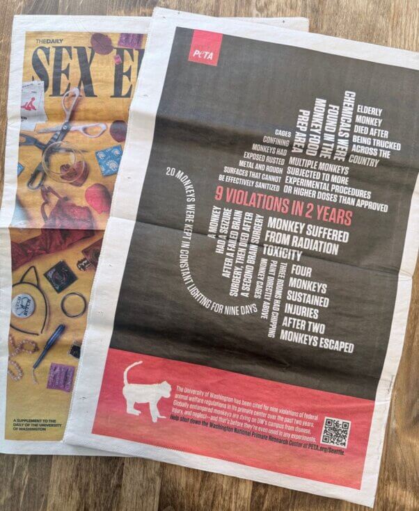 Full page UW ad in The Daily