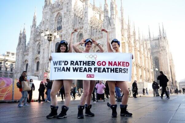 we'd rather go naked than wear feathers, winter olympics, milan
