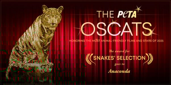 Oscat Certificate for Anaconda