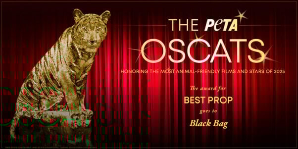 Oscat Certificate for Black Bag